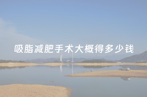 吸脂减肥手术大概得多少钱（吸脂减肥手术大概得多少钱一次）