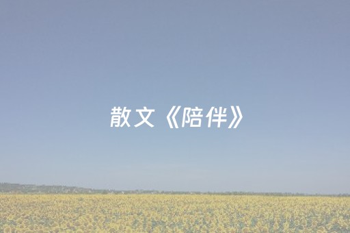 散文《陪伴》（散文陪伴300字左右）