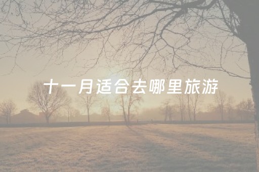 十一月适合去哪里旅游（十一月适合去哪里旅游最好）