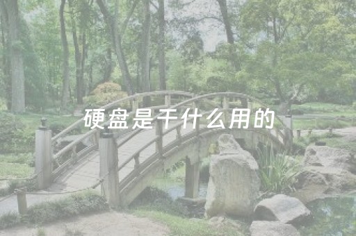 硬盘是干什么用的（云端硬盘是干什么用的）