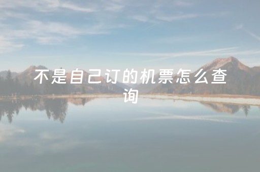 不是自己订的机票怎么查询（不是自己订的机票怎么查询价格呢）