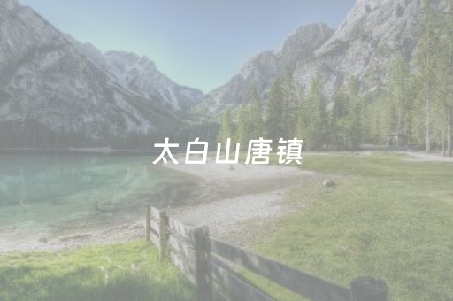太白山唐镇（太白山唐镇瑞斯丽温泉度假酒店）