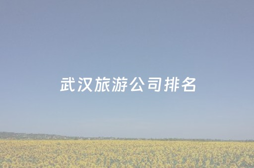武汉旅游公司排名（武汉旅游公司排名 宋永德）