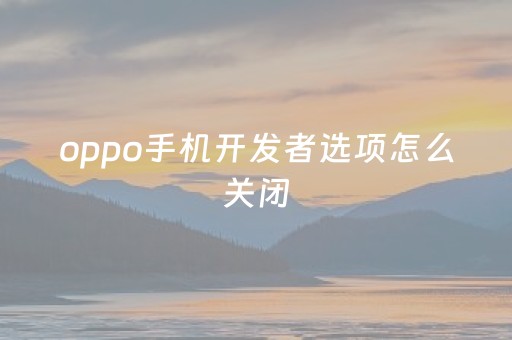 oppo手机开发者选项怎么关闭（oppo手机开发者选项提示怎么关闭）