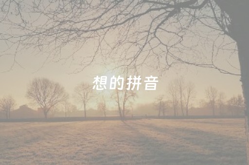 想的拼音（摘的拼音）