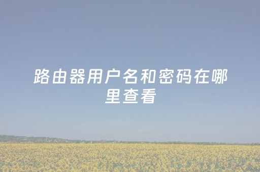 路由器用户名和密码在哪里查看（19216811）
